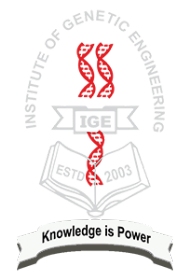 IGE