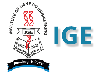 IGE Logo