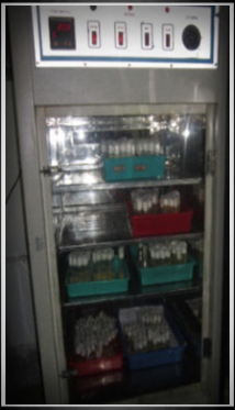 BOD for Drosophila Culture