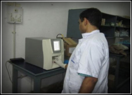 Cell Counter PCR
