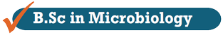 BSc in Microbiology