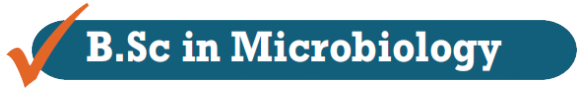 B.Sc in Microbiology